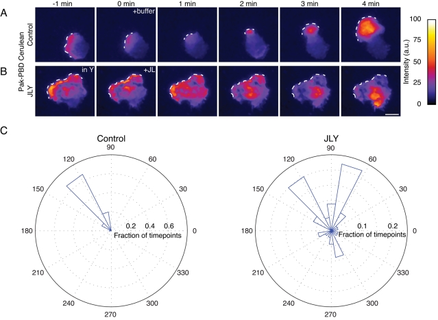 FIGURE 6: