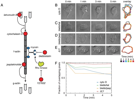 FIGURE 1: