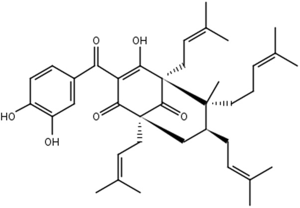 FIGURE 1