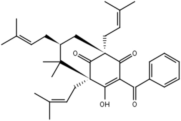 FIGURE 2