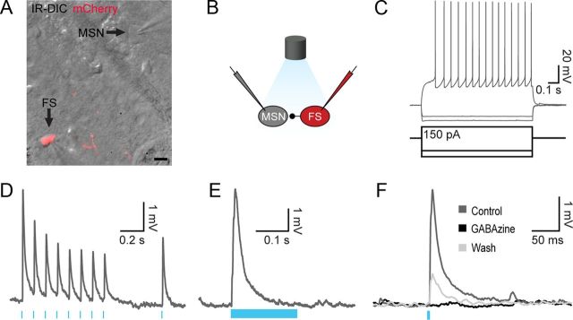 Figure 2.