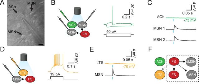 Figure 3.