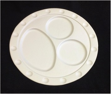Fig. 3