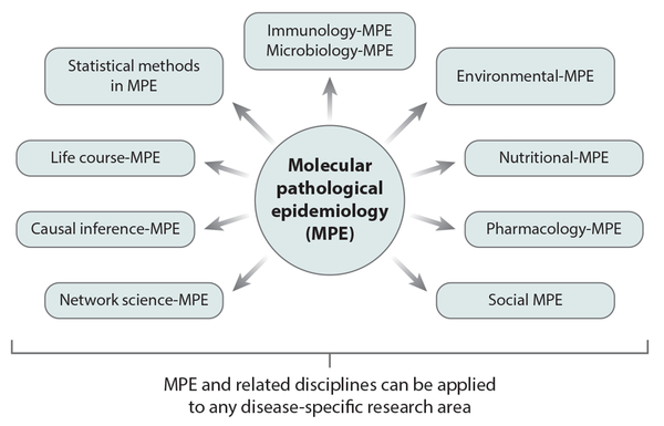 Figure 6: