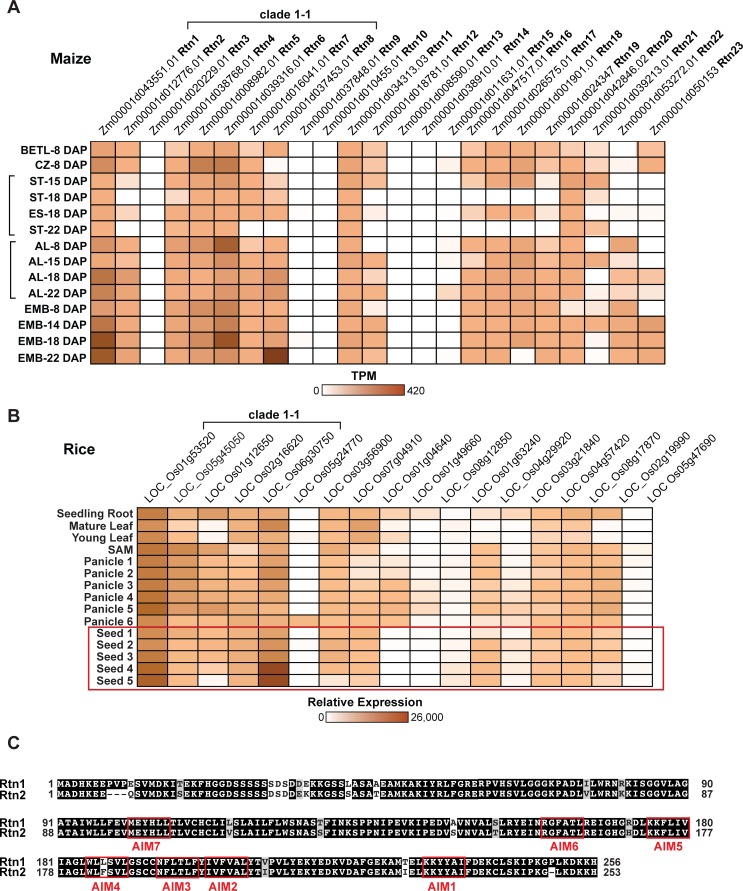 Figure 1—figure supplement 2.