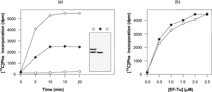 FIG. 5.