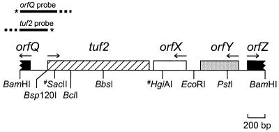 FIG. 2.