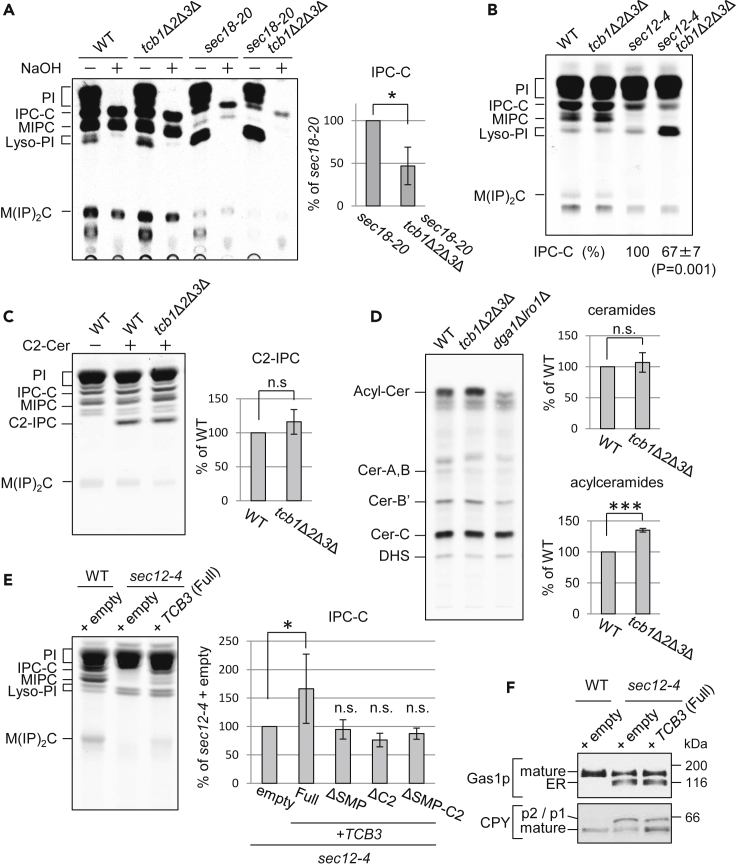 Figure 4