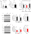 Figure 1—figure supplement 2.