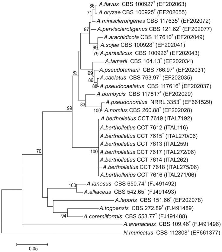 Figure 2