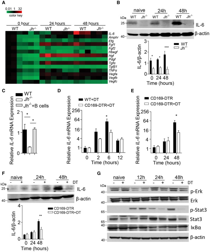 Figure 6