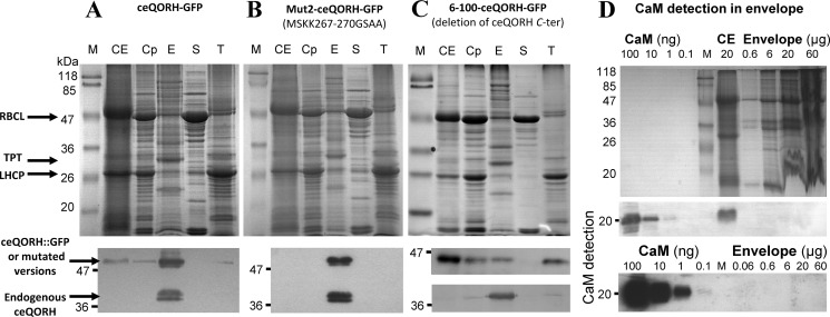 Figure 4.