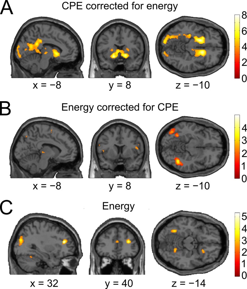 Figure 5—figure supplement 1.