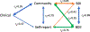 Extended Figure 1.
