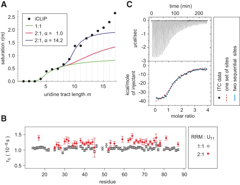 FIGURE 1.