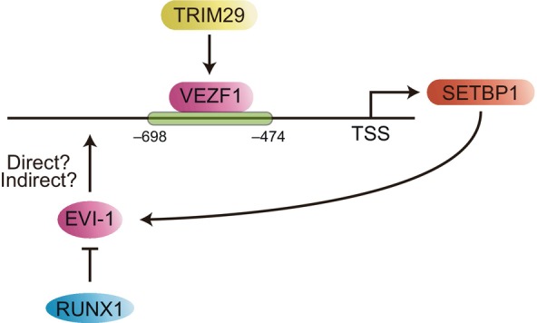 FIGURE 4