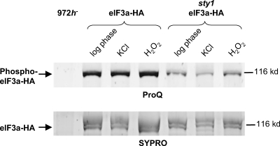 FIG. 8.