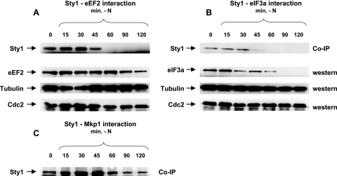 FIG. 3.