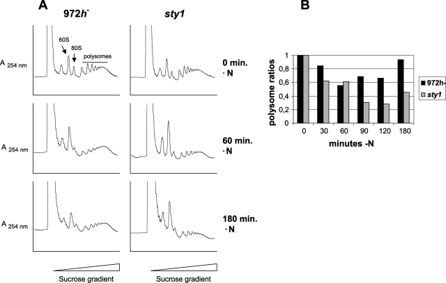 FIG. 6.