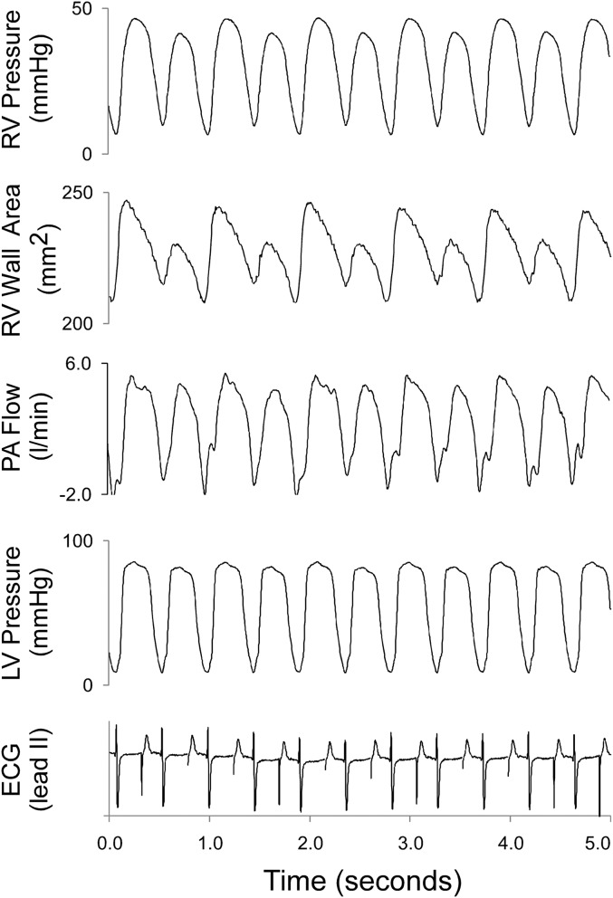 Figure 3.