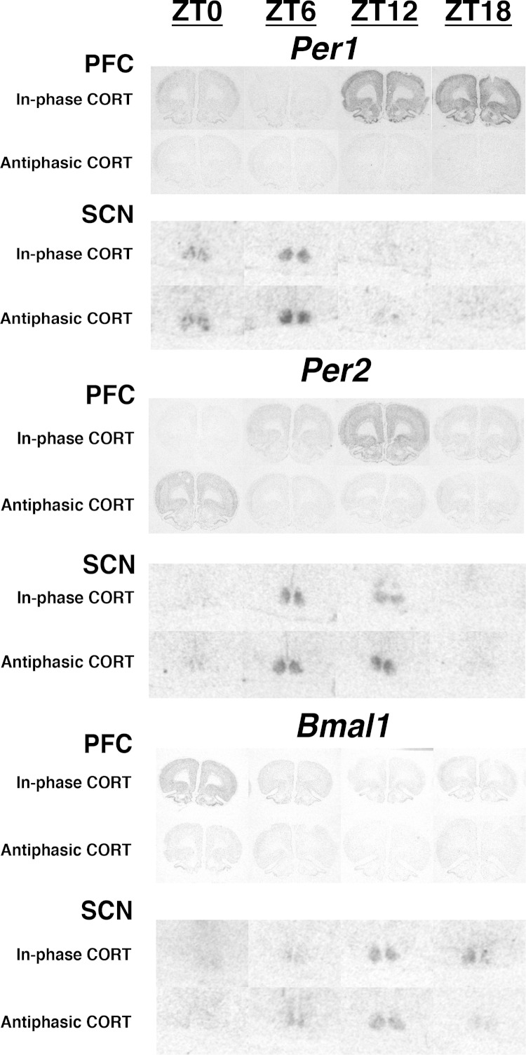 Figure 6.