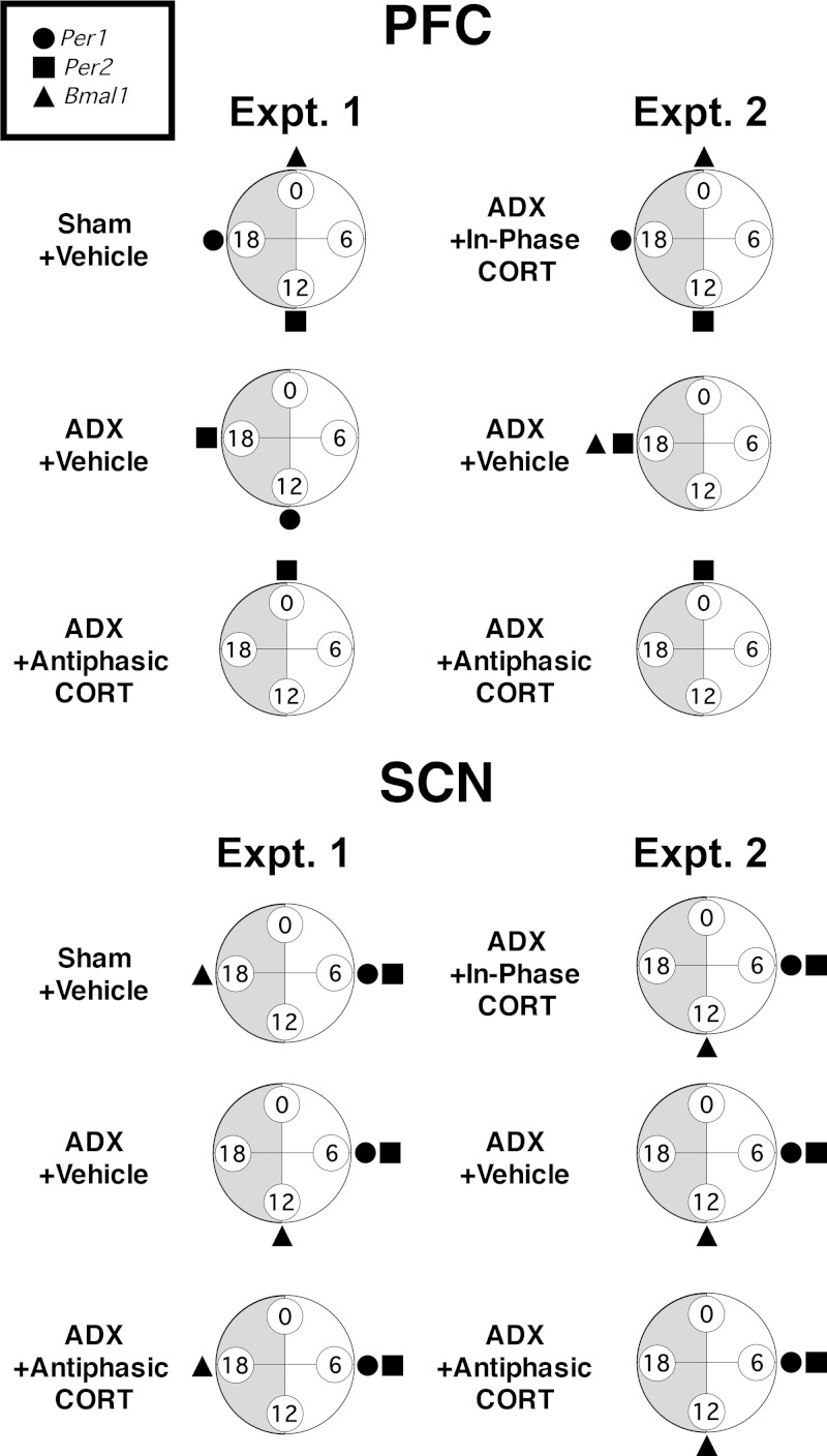 Figure 7.