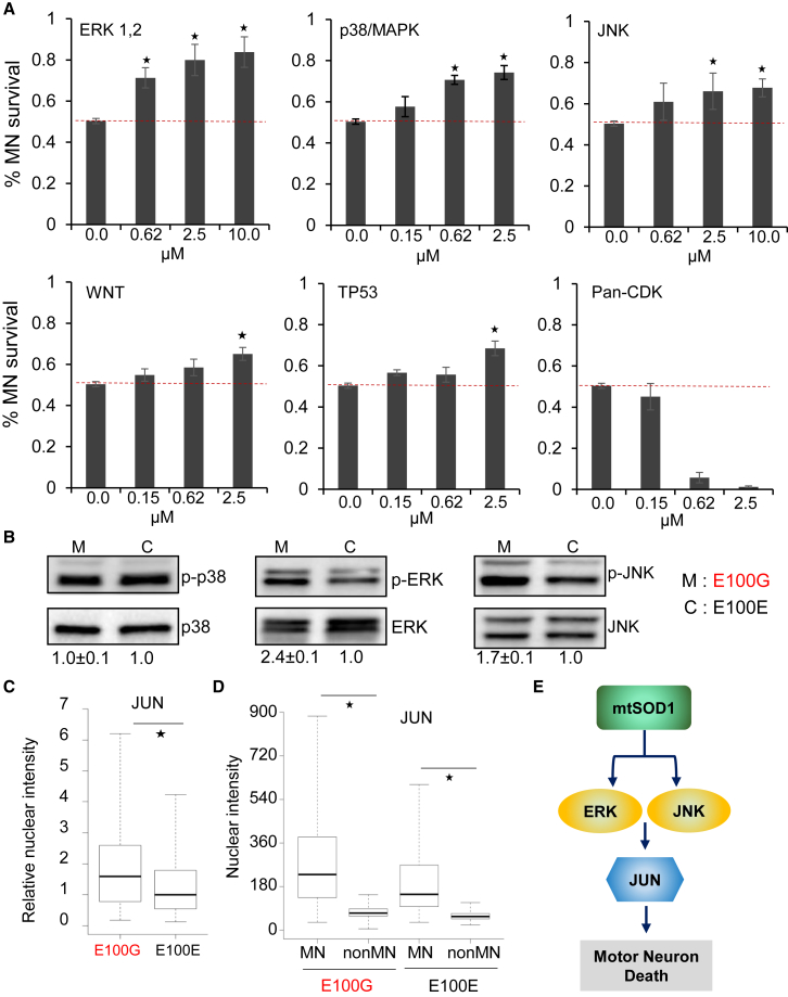 Figure 4