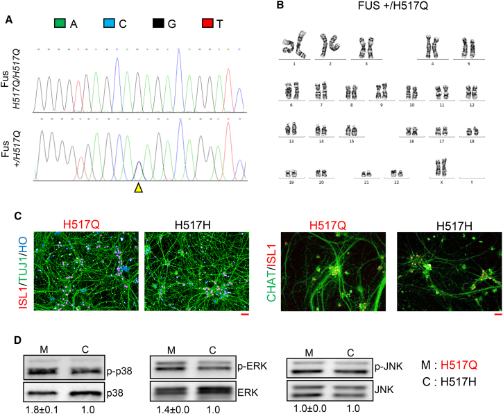 Figure 5