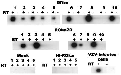 FIG. 4.