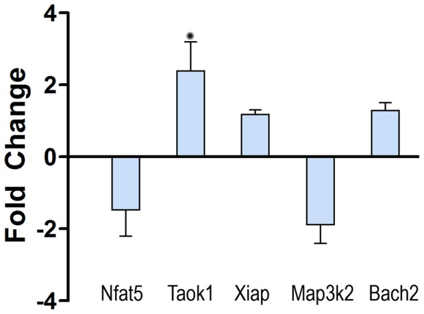 Figure 5