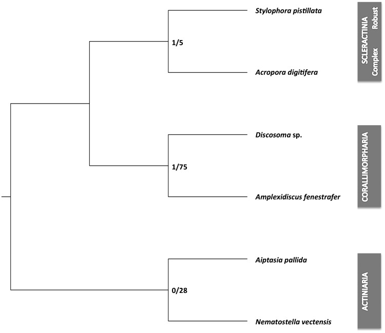 Fig. 4.