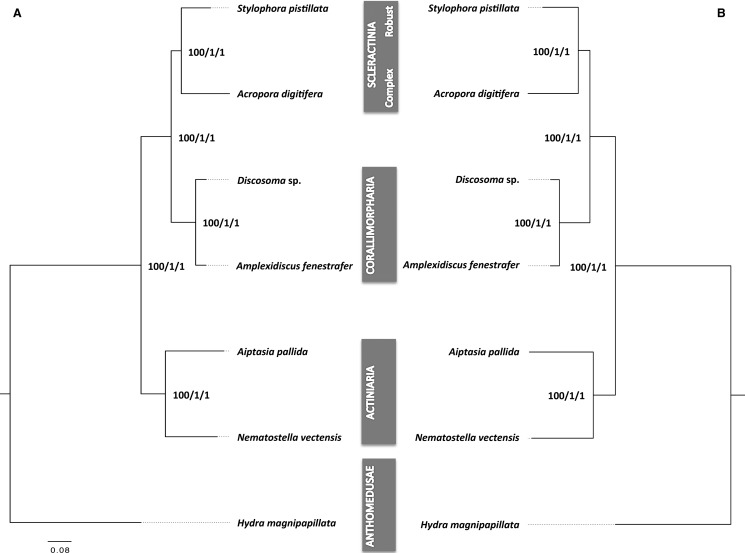 Fig. 2.