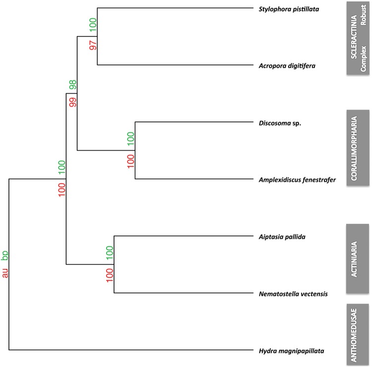 Fig. 3.