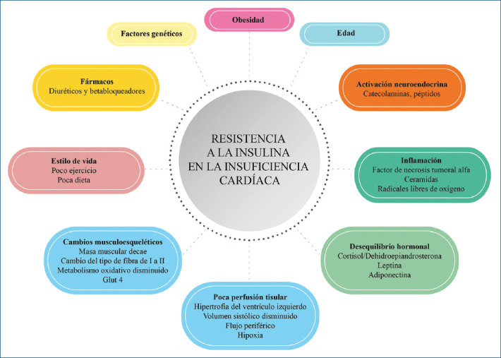 Figura 2