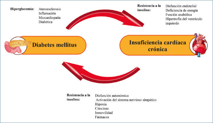 Figura 1