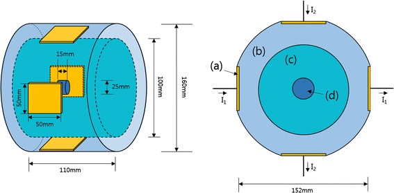 Fig. 1