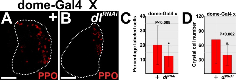 Fig 5