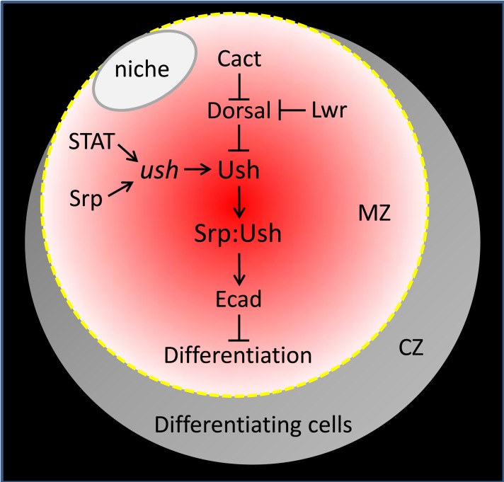 Fig 9