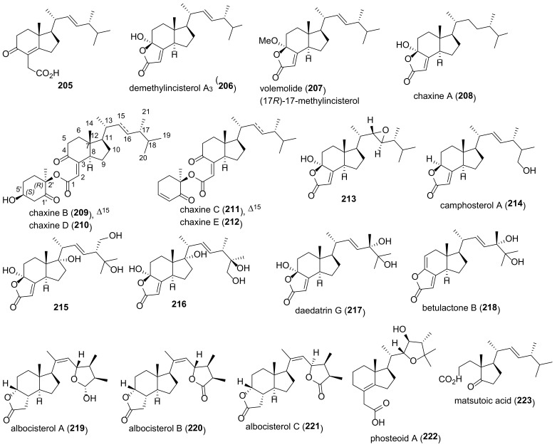 Figure 22