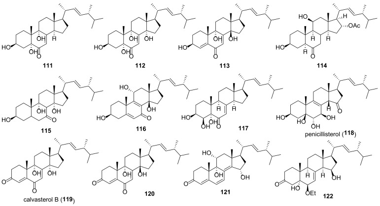 Figure 13