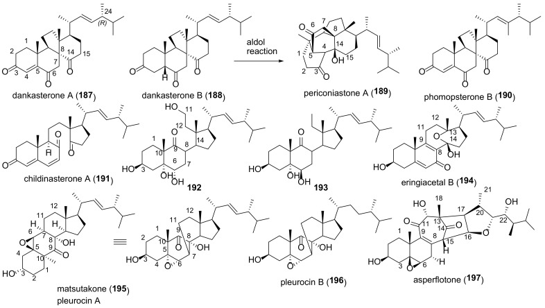 Figure 20