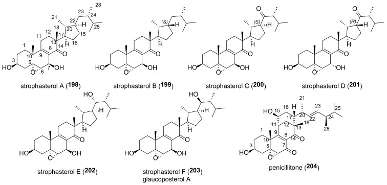 Figure 21