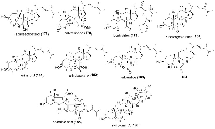 Figure 19