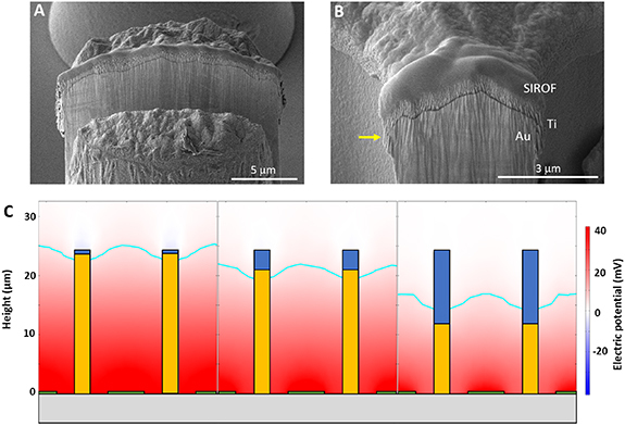 Figure 6.