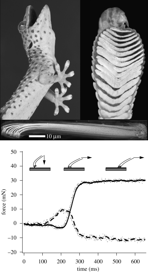 Figure 1.