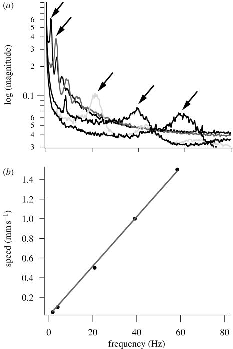 Figure 4.