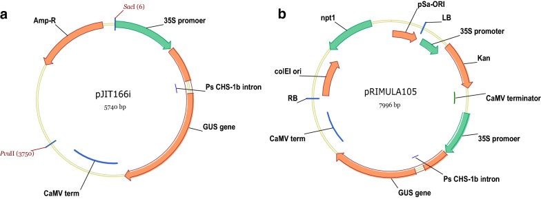 Fig. 1