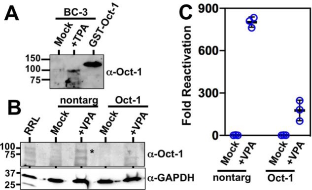 Figure 12.