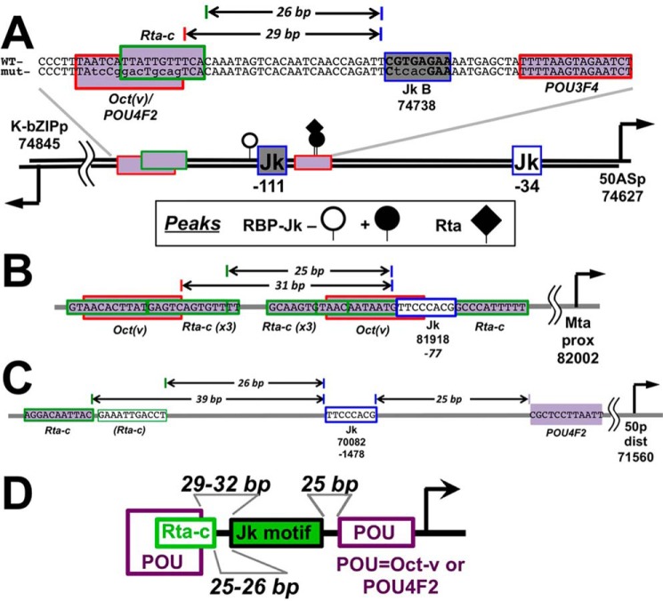 Figure 11.