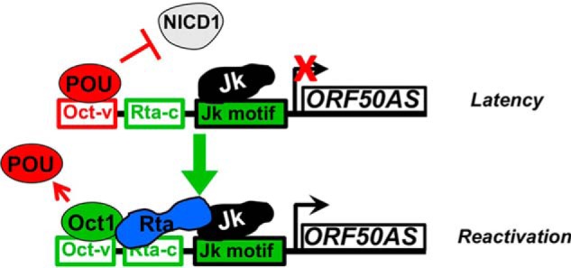 Figure 13.